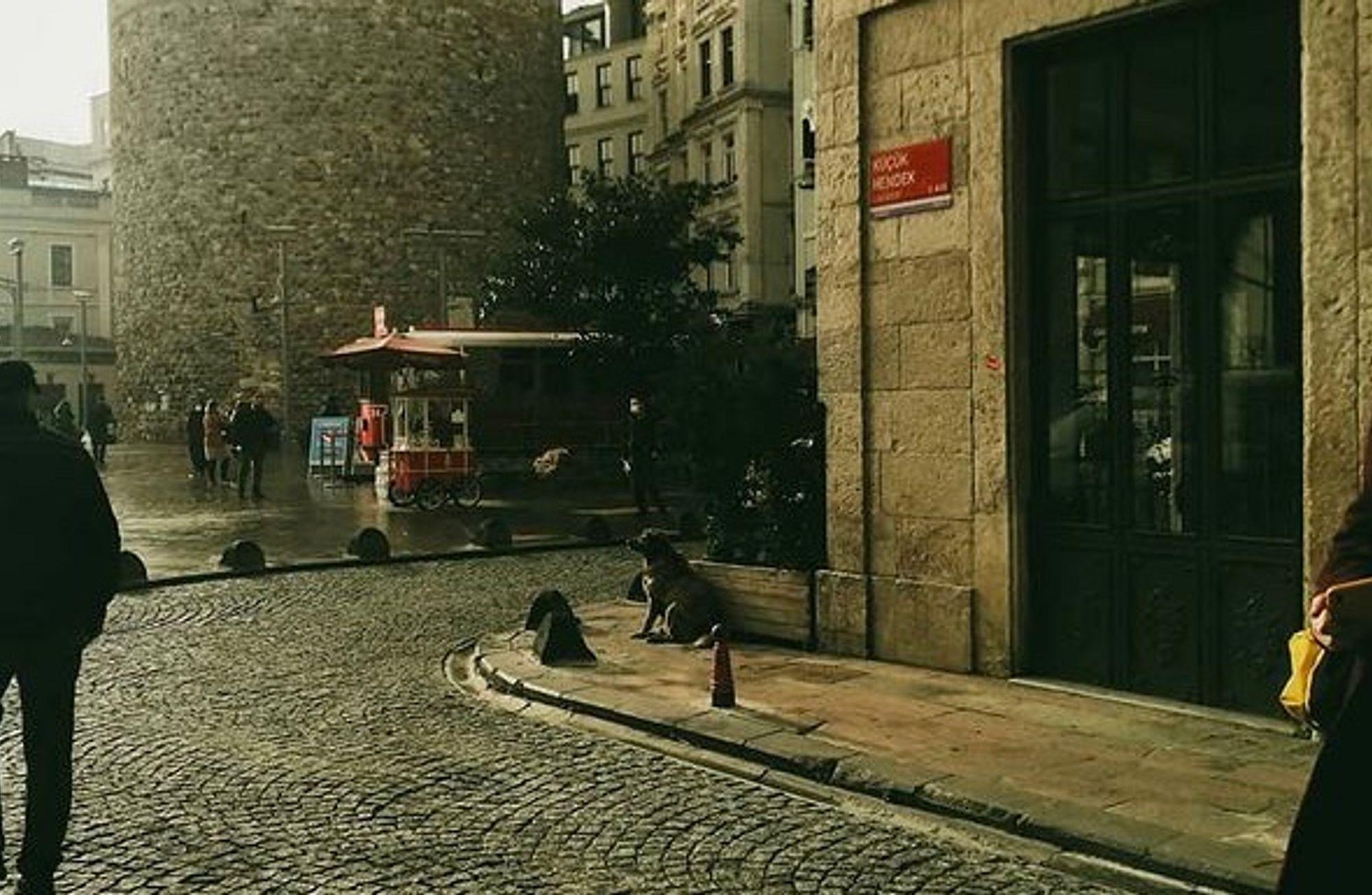 Erişilemez İstanbul ve engelleyen mekânları