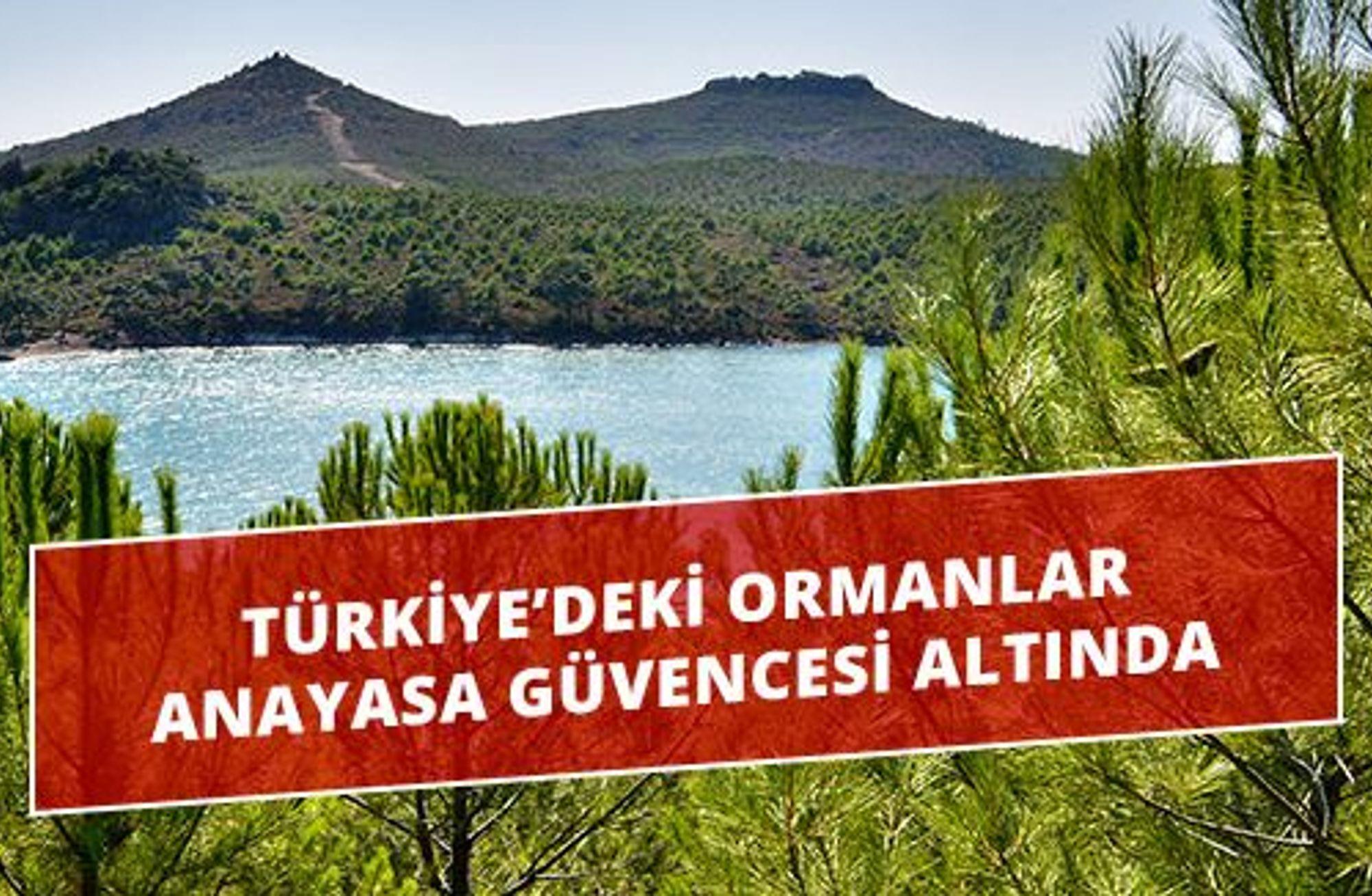 Anayasamız Ormanlar İçin Ne Diyor?