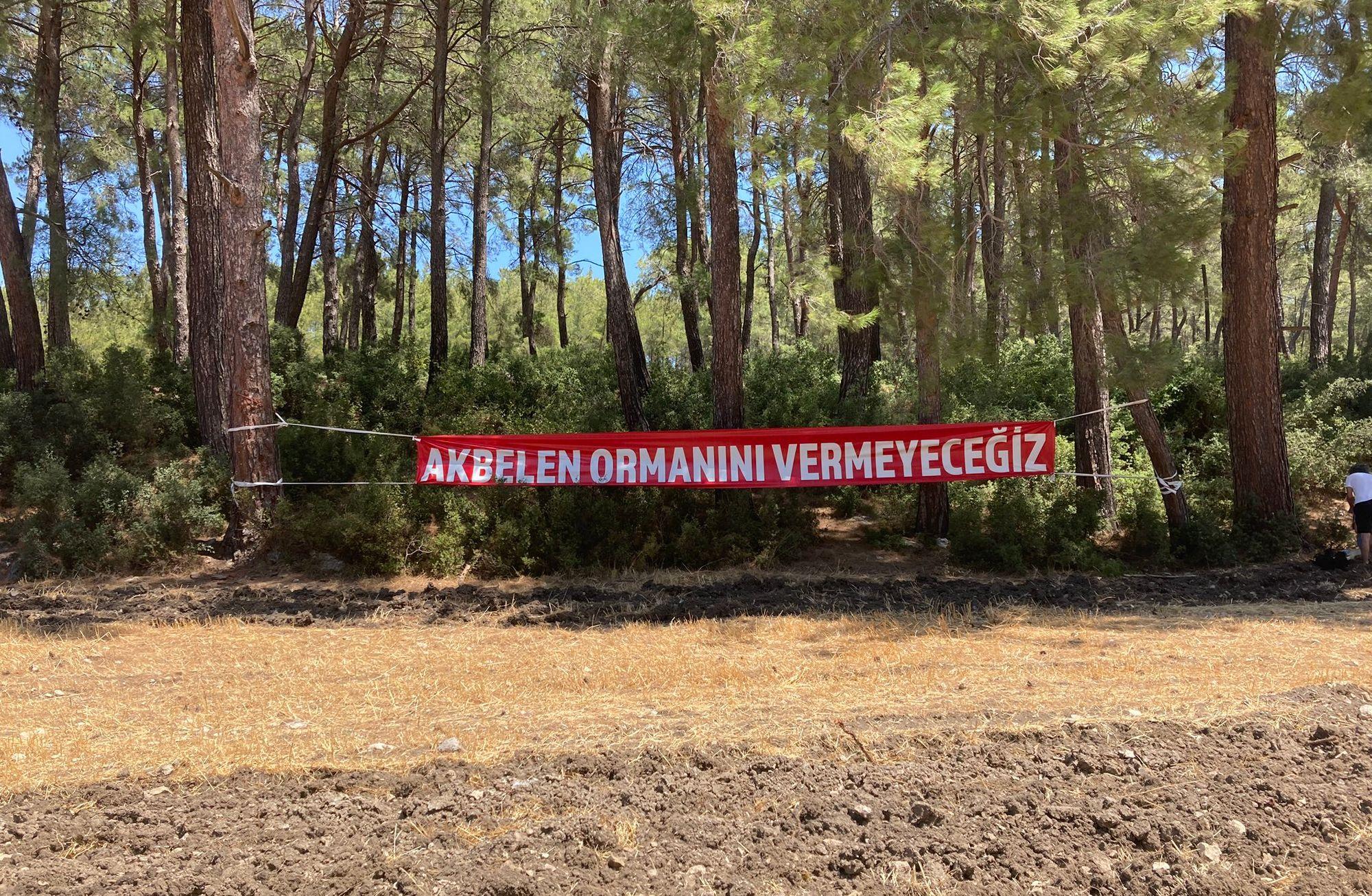 Akbelen Ormanı’nda neler oluyor?