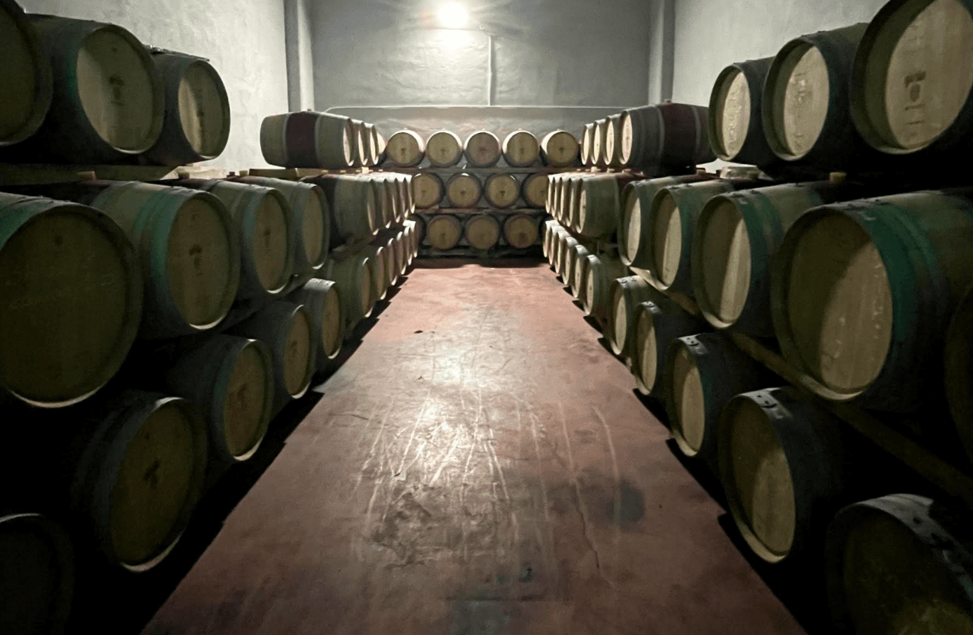 Bağcı şarabı: Gürbüz Winery