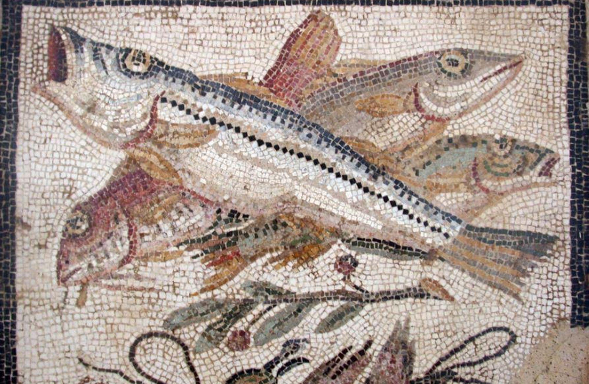 Antik Çağ'ın fermante sosu: garum
