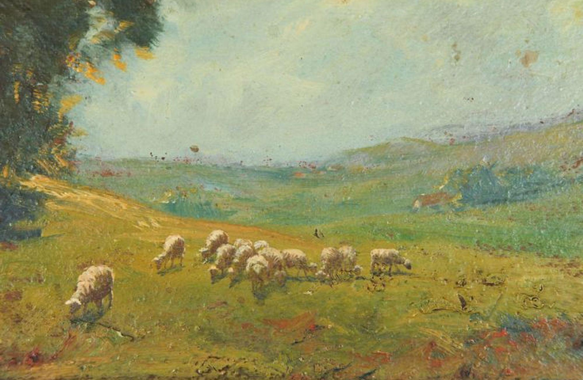 Türlerin Kökeni