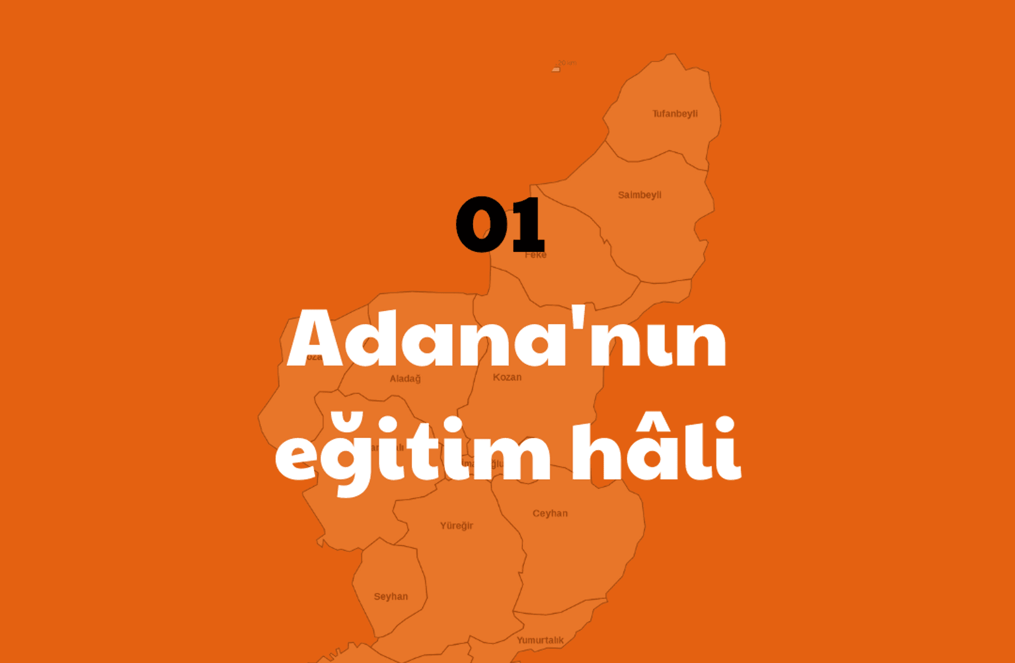 Adana'nın eğitim hâli