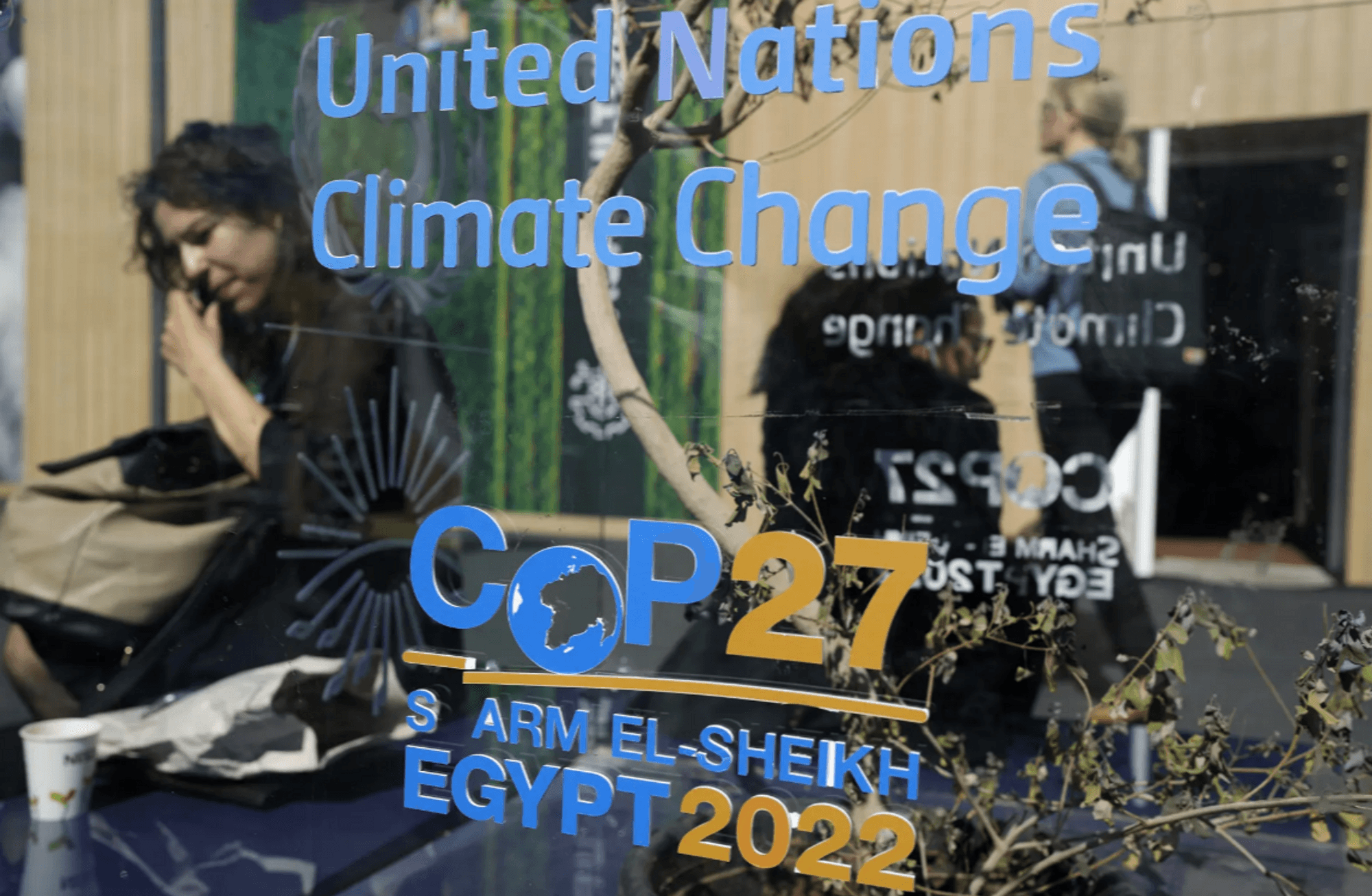 Decarbonization, Adaptation, Agriculture