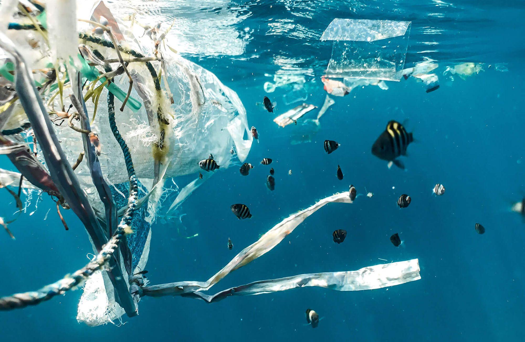 Plastik ve tekstilde %100 geri dönüşüm buradan başlıyor: Carbios