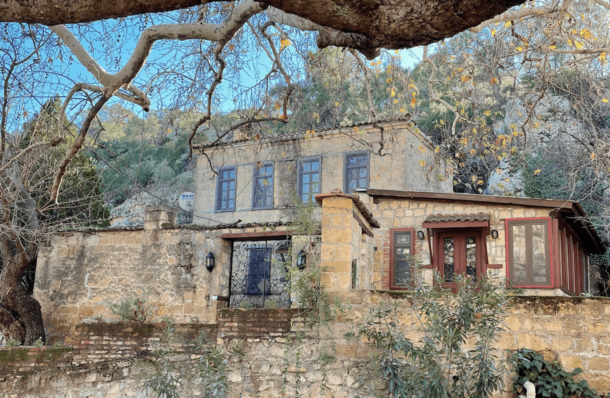 Sessizliğin İçinden