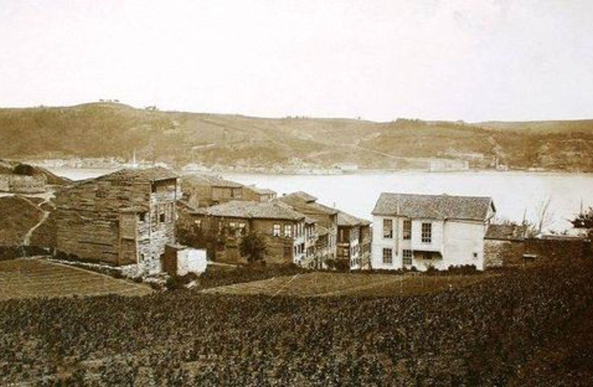 Makyajlı bir meyve