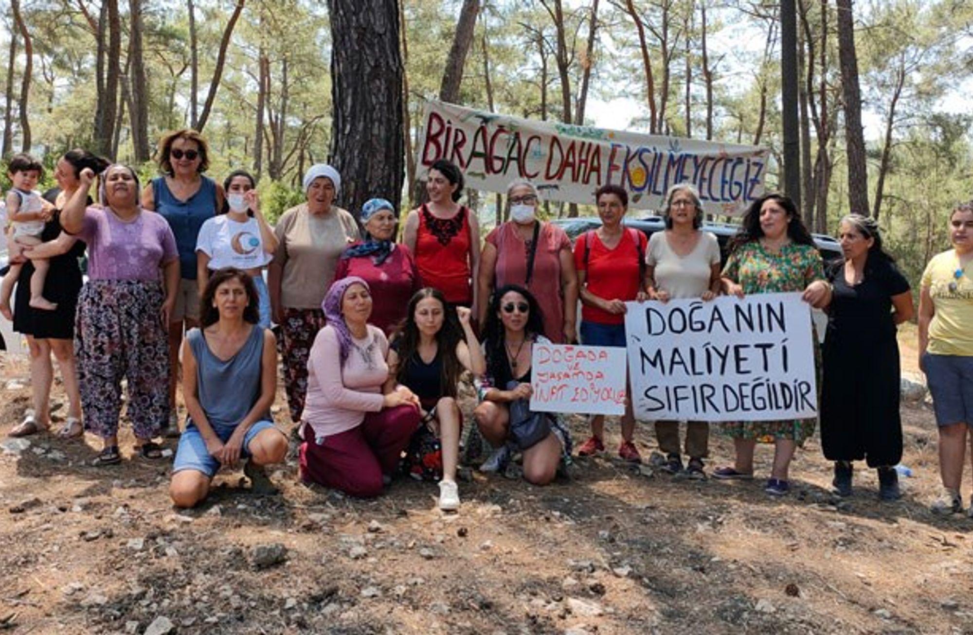 Akbelen: Kömüre karşı zeytinin direnişi