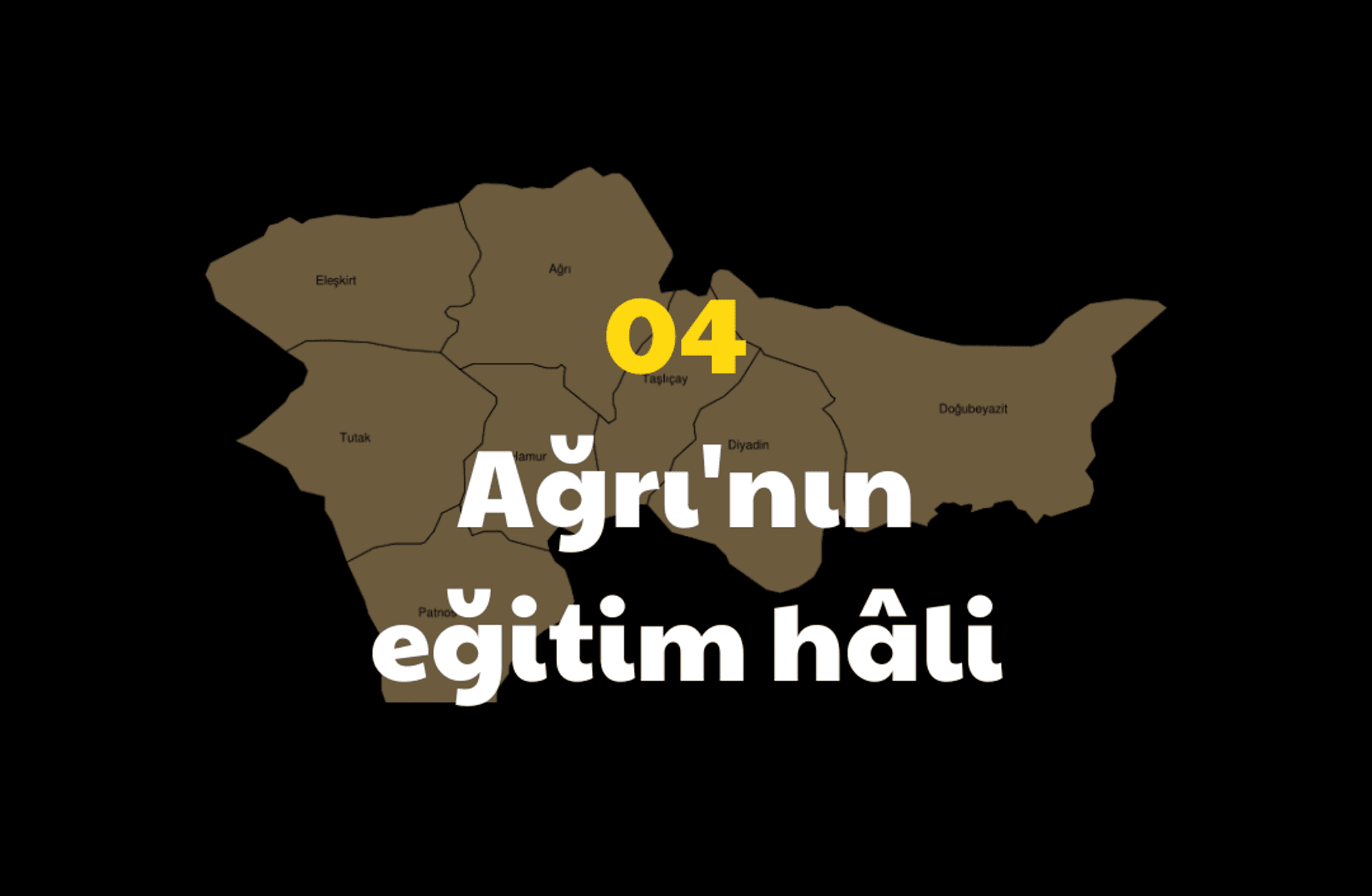 Ağrı'nın eğitim hâli