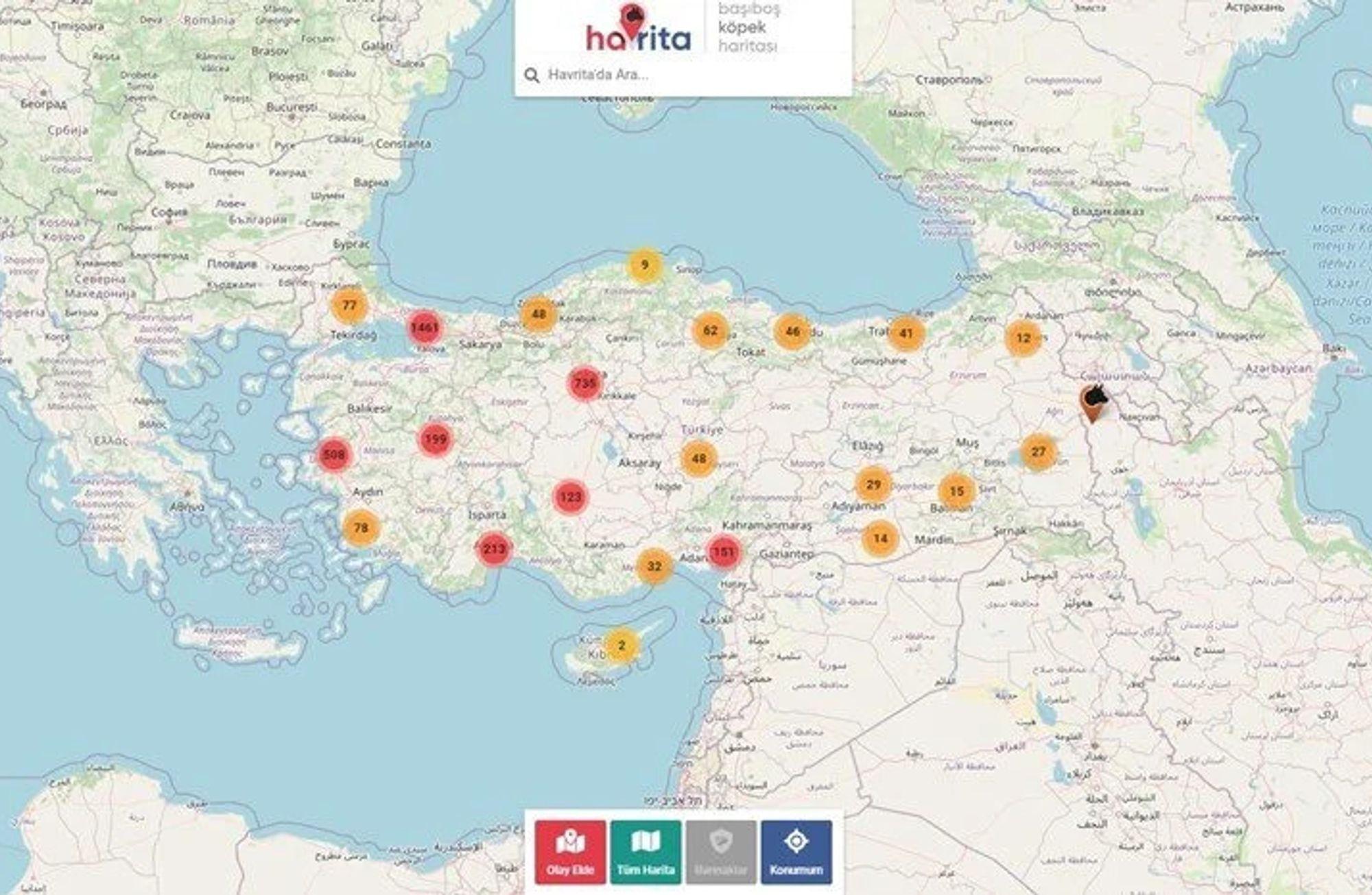 "Başıboş Köpek Haritası" tartışmaları: koruyor mu, öldürüyor mu?
