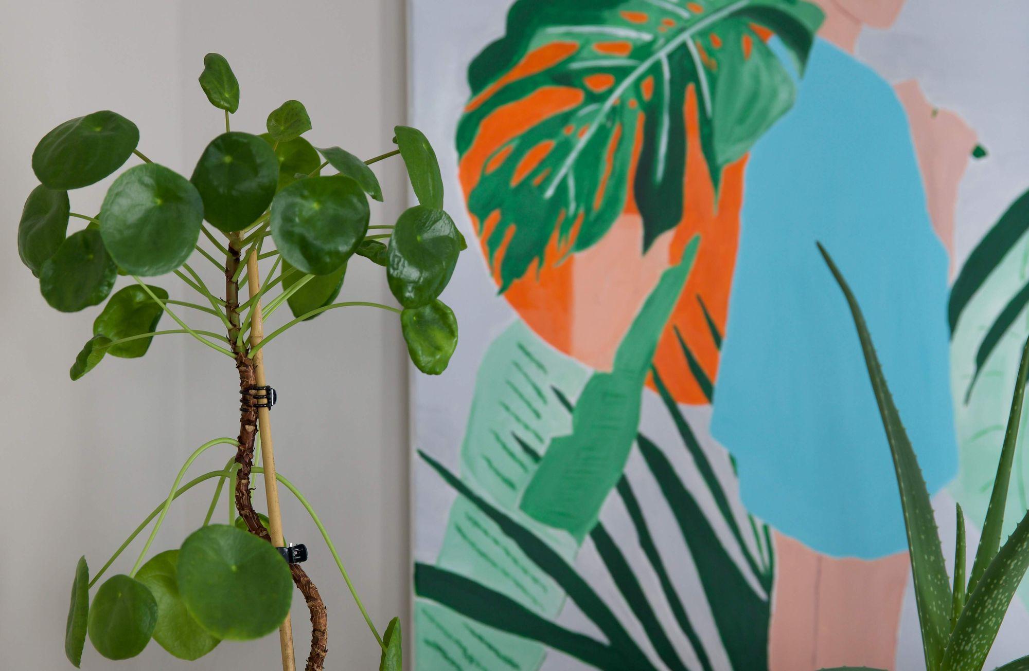 "Jungle" Evler