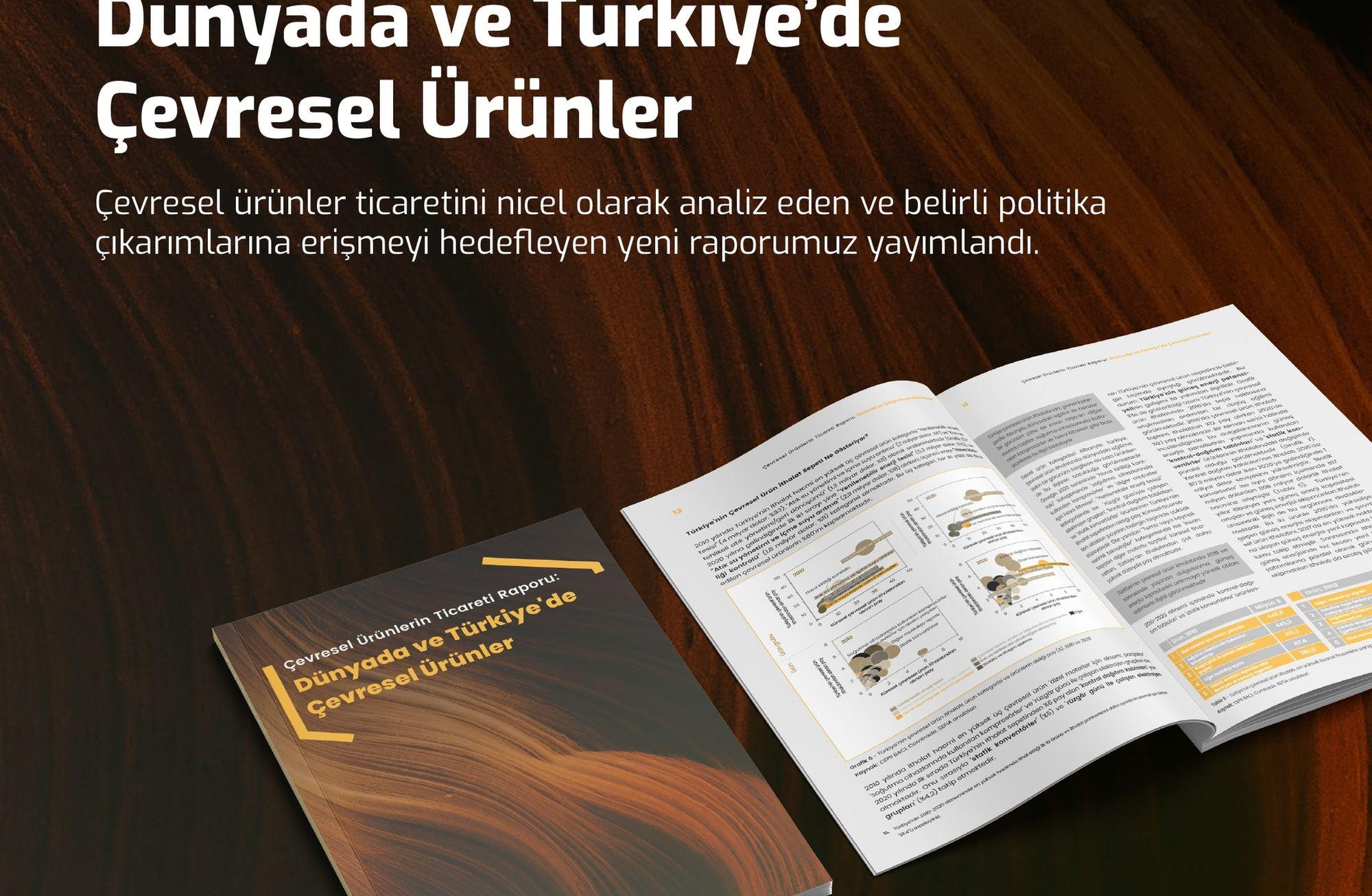 Dünyada ve Türkiye’de çevresel ürünler analizi