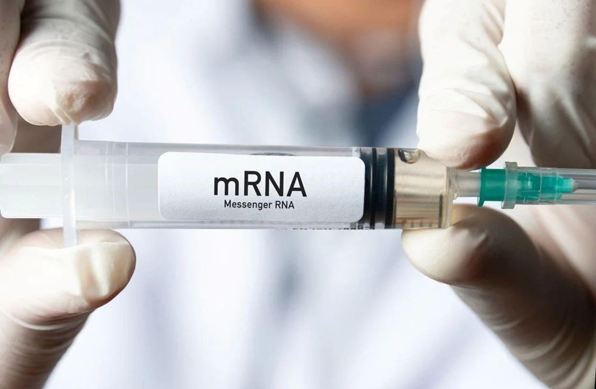 Kanserin tedavisi, mRNA teknolojisinde mi saklı?