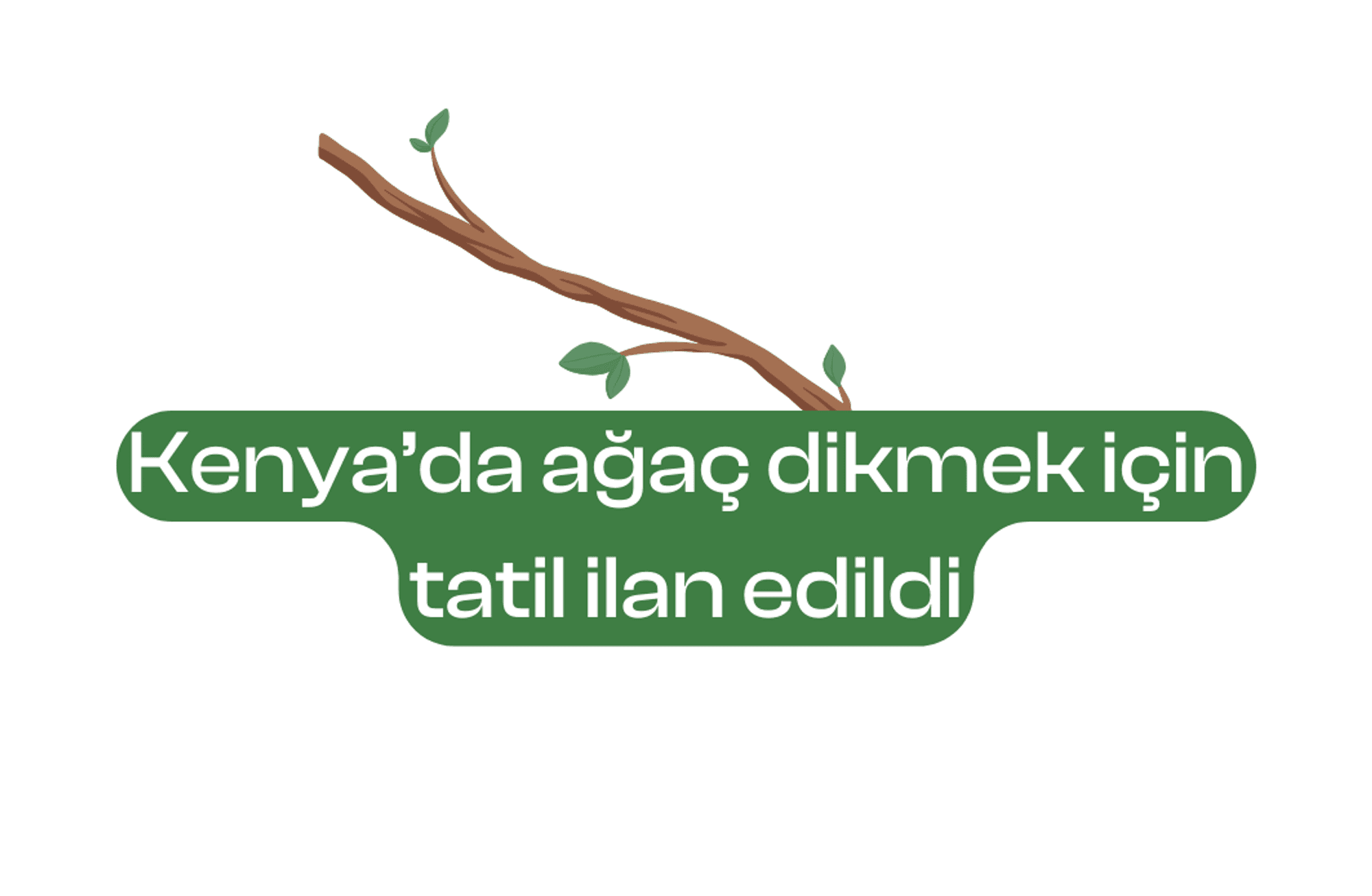 Kenya’da ağaç dikmek için tatil günü ilan edildi