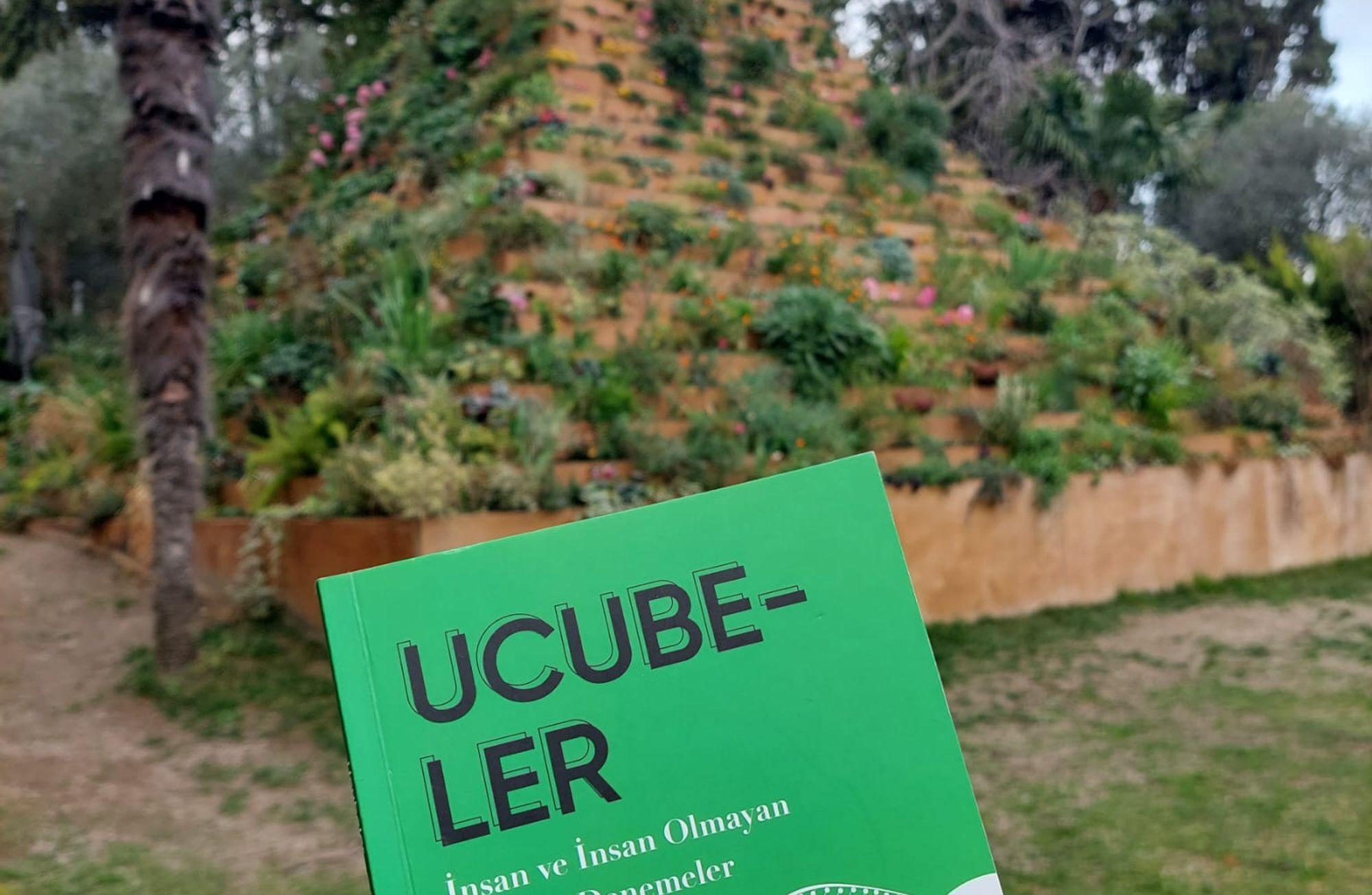 Ucubeler Sarmalı