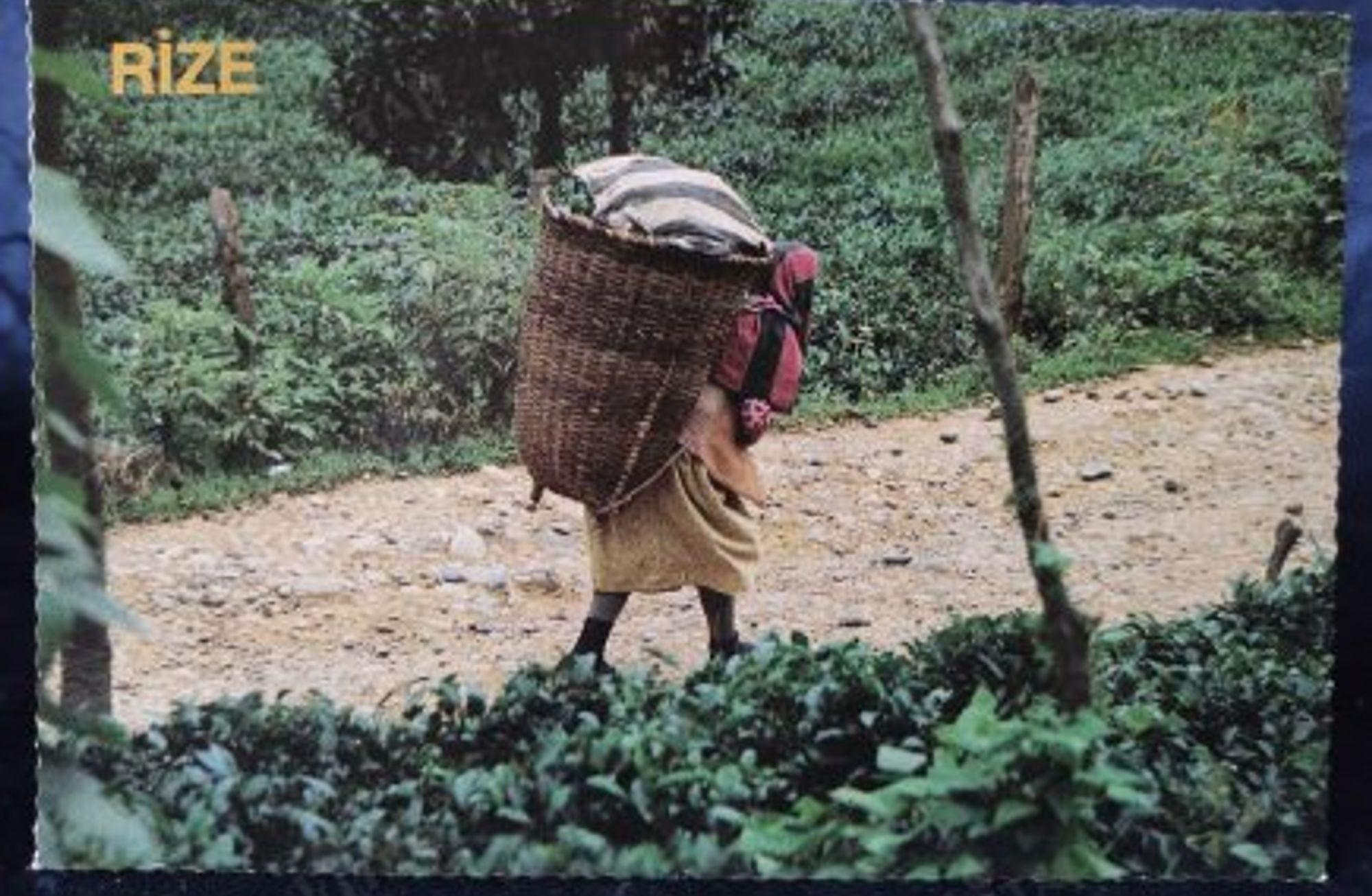 Çay Bayramı