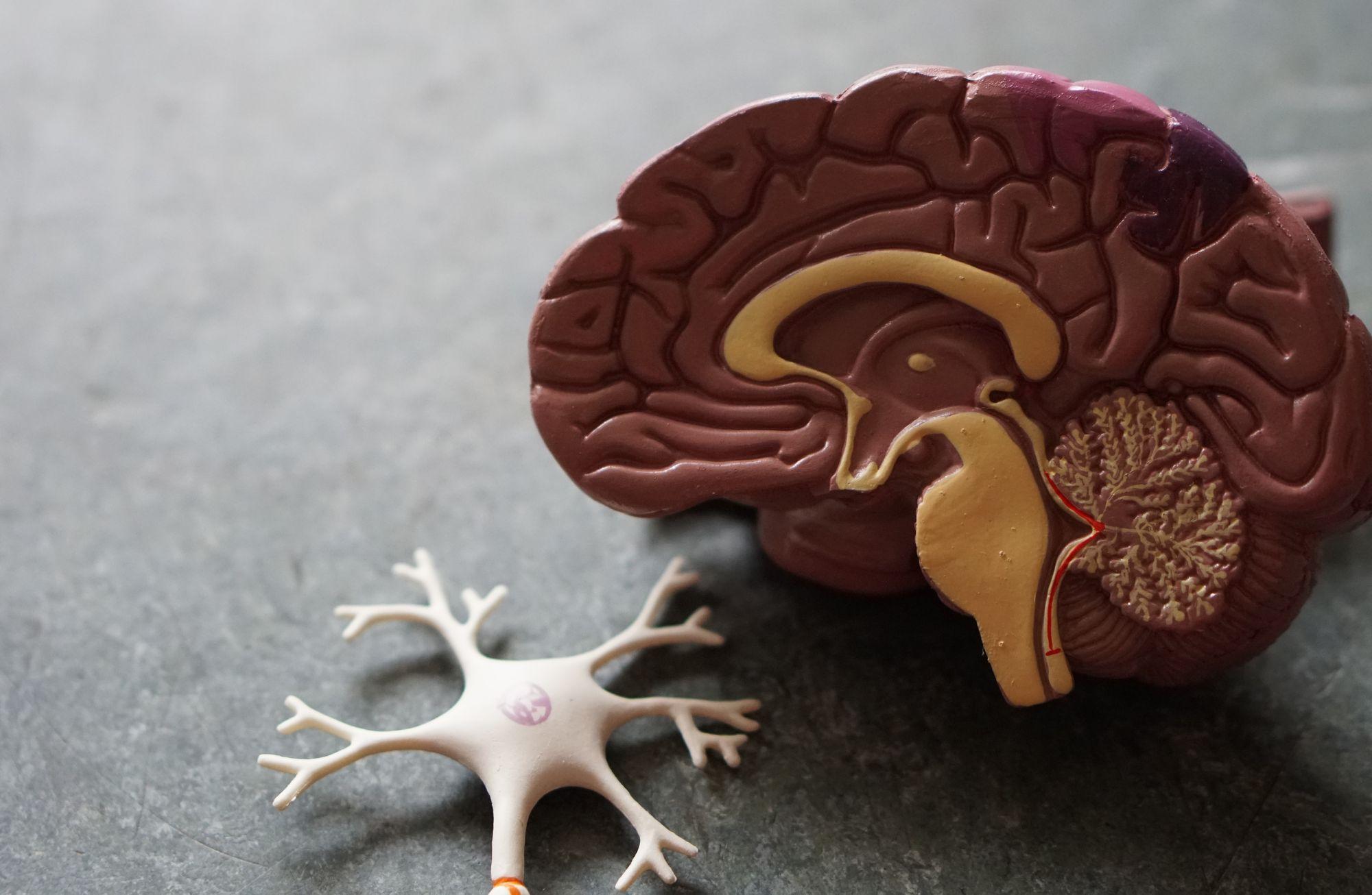 Roche ve Eli Lilly'nin Alzheimer erken tanısı için iş birliği