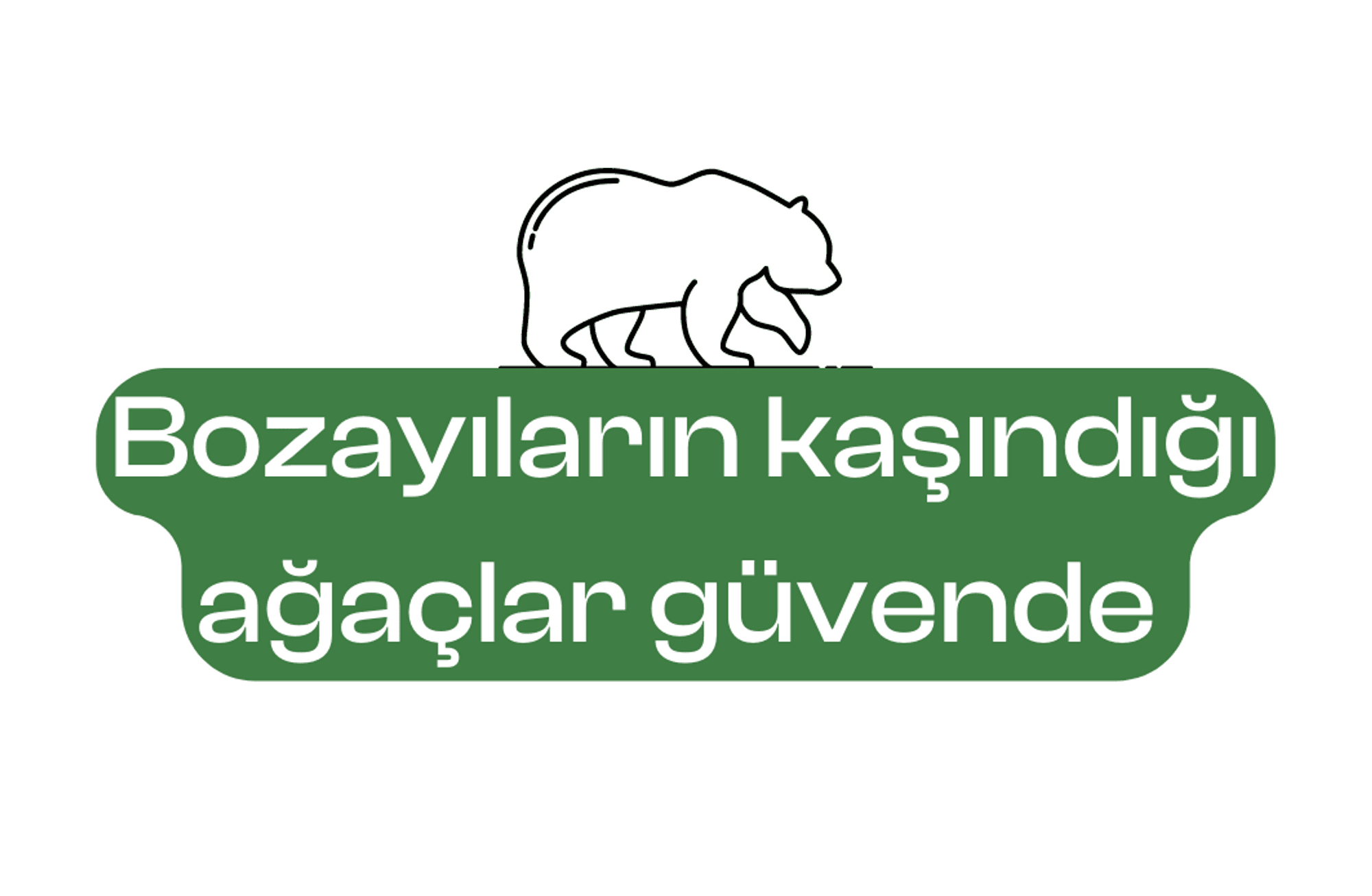 Bozayıların kaşındığı ağaçlar güvende