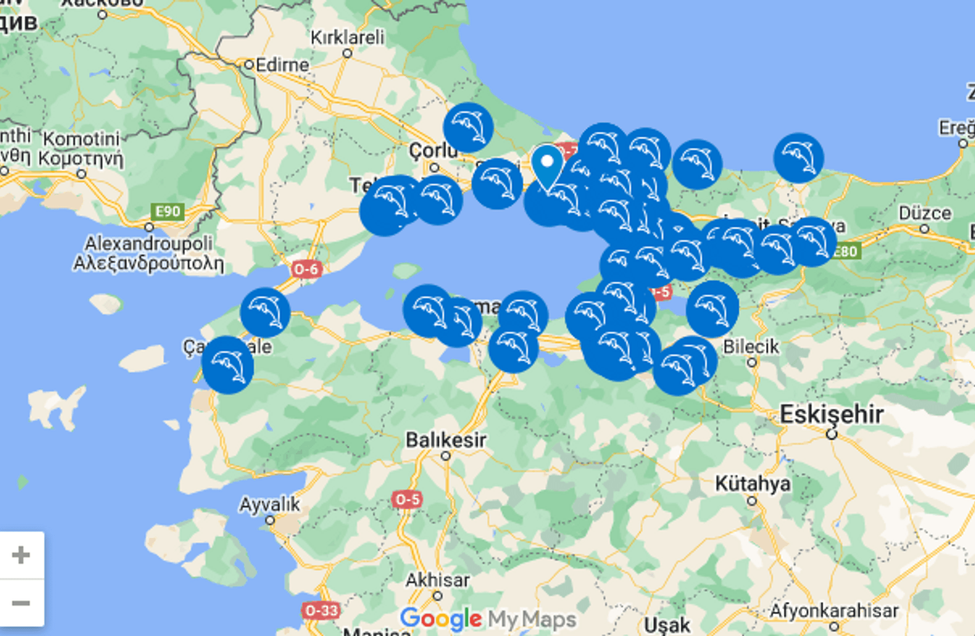 Marmara Denizi Günü'nde doğaseverler kıyılarda buluşuyor