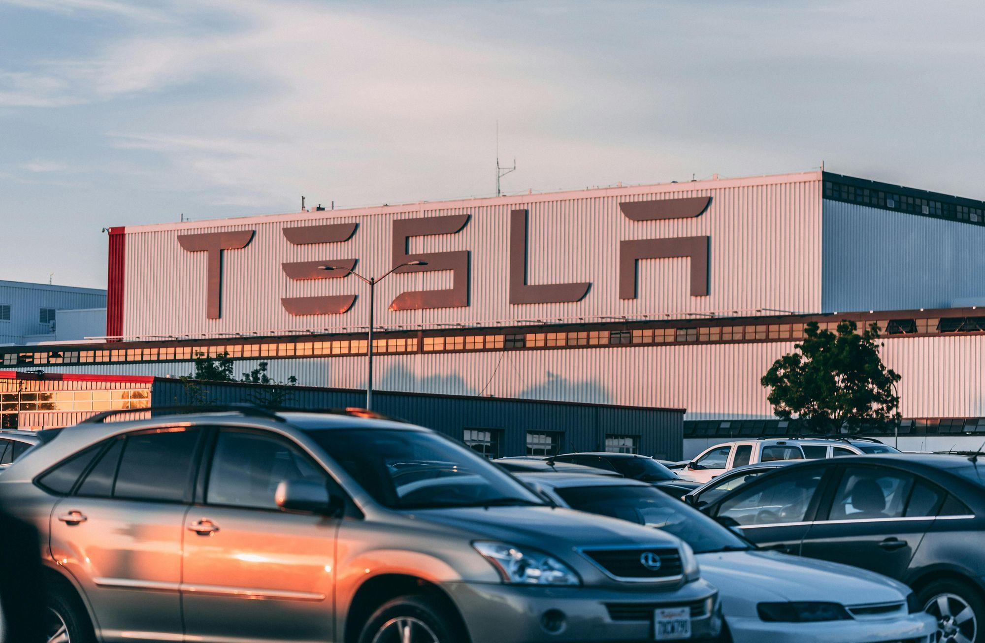 Tesla'nın Berlin fabrikası için yarım milyon ağaç kesildi