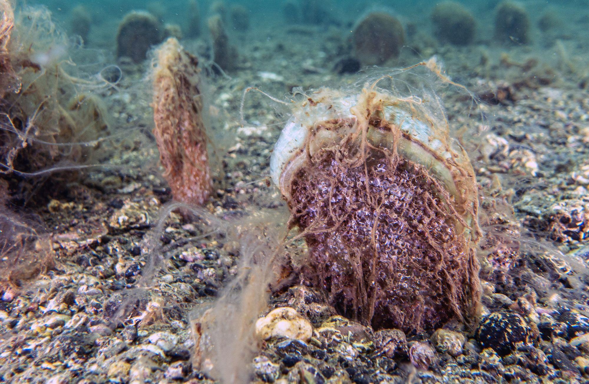 Türkiye’de Son Dönemde İklimle İlgili Gelişmeler