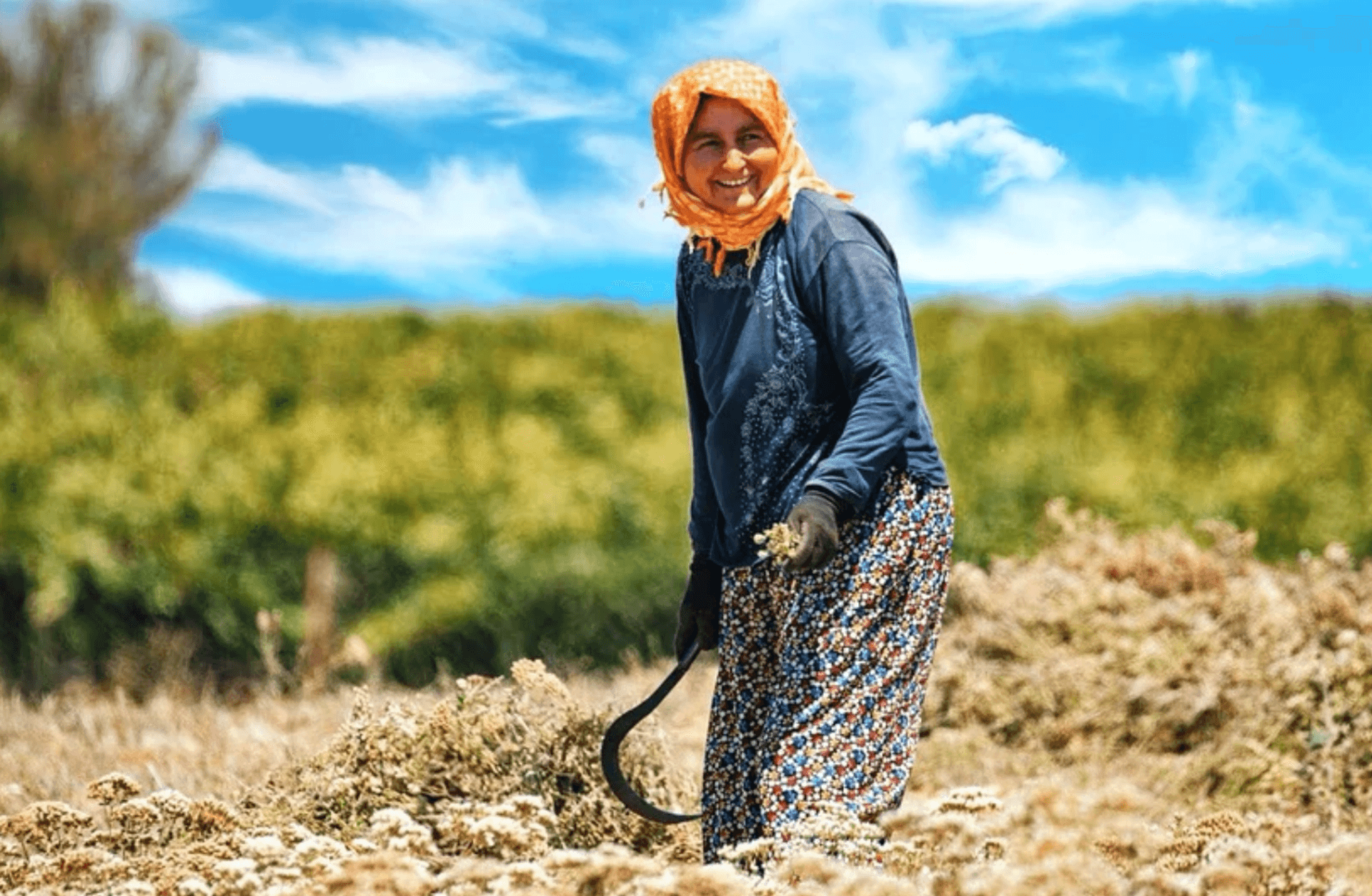 Mirasta 'anlaşmalı paylaşım' dönemi: Kadın örgütleri düzenlemeyi neden eleştiriyor?