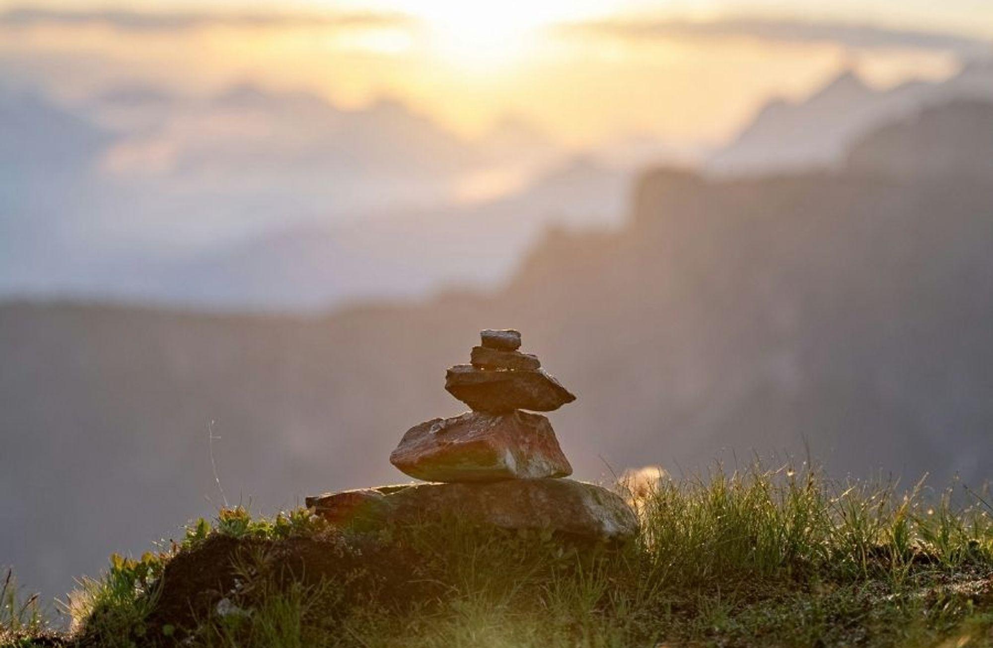 Zen ve Gezegeni Kurtarma Sanatı