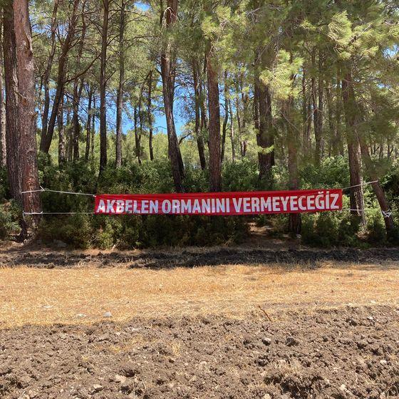 Akbelen Ormanı’nda neler oluyor?