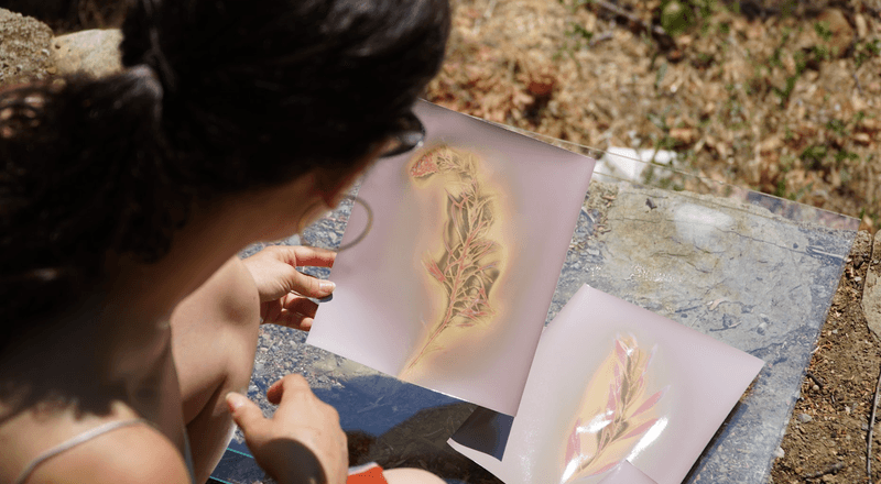 Kazdağları'nın geçmişine uzanan bir köprü: Doğaya Sanat programı
