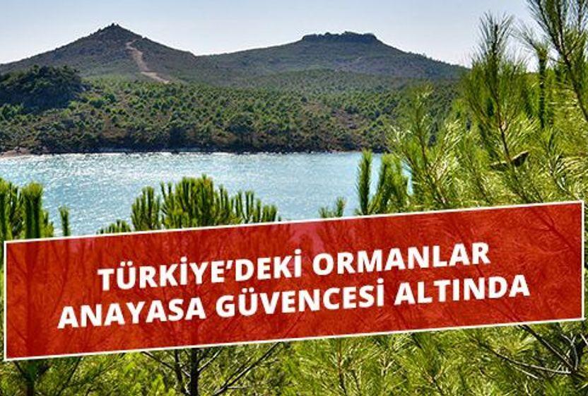 Anayasamız Ormanlar İçin Ne Diyor?