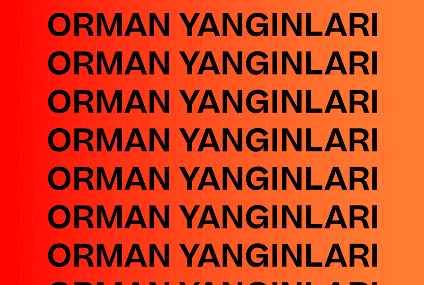 ORMAN YANGINLARI