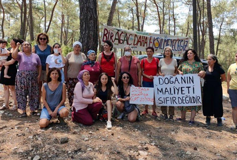 Akbelen: Kömüre karşı zeytinin direnişi