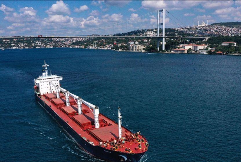 Ukrayna buğdayı nereye gidiyor?