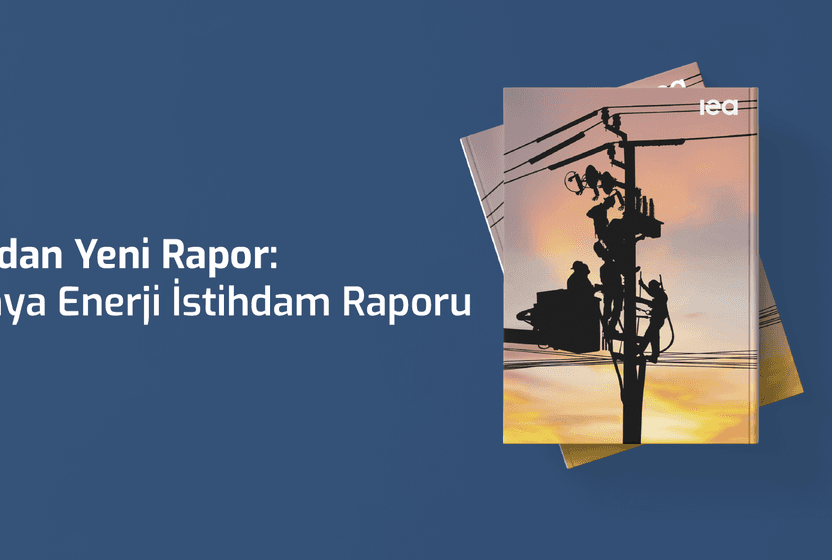 "Dünya Enerji İstihdam Raporu”nun gösterdikleri