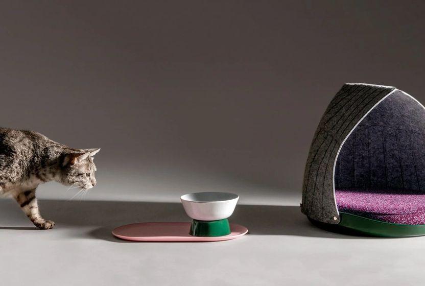 Mix and Match Kedi Mobilyaları