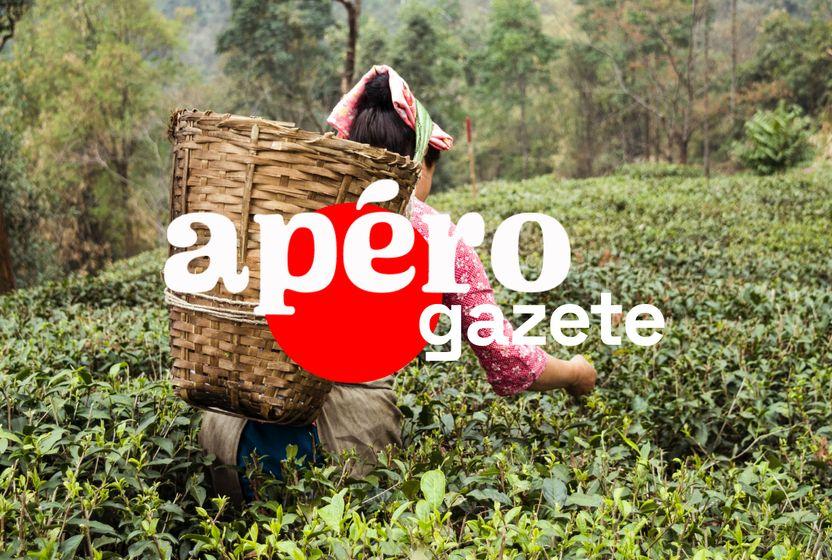 unileverden-tarla-saldirilari-icin-cay-toplayicilarina-odeme