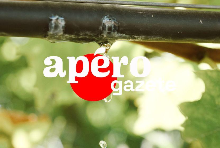 yenilikhanenin-hem-tarimda-hem-urunde-inovasyonu