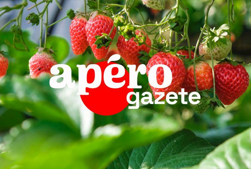 bayer-cilek-pazarina-girdi