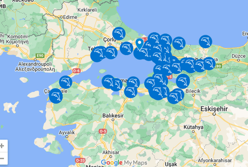 Marmara Denizi Günü'nde doğaseverler kıyılarda buluşuyor