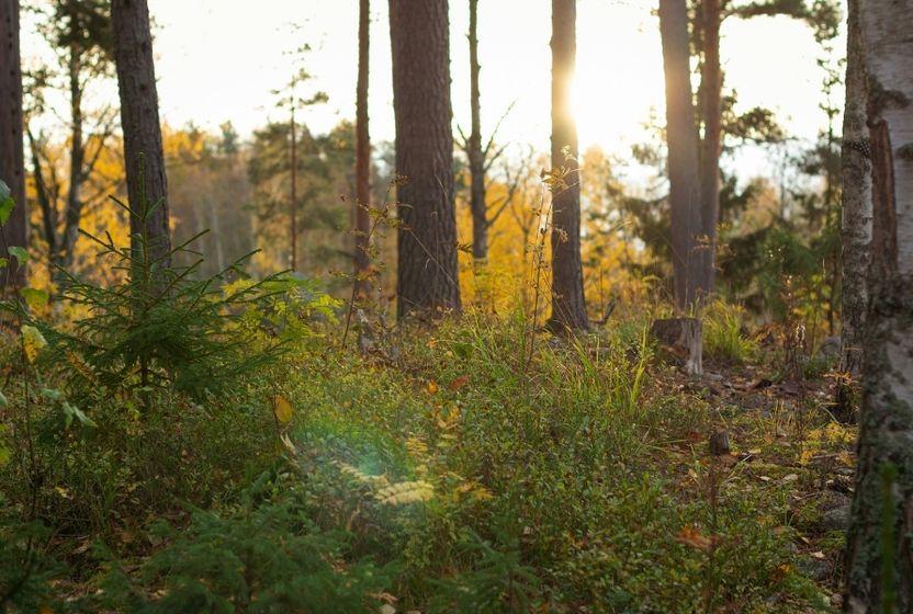 evrim-hizini-astik-genlerin-yetisemedigi-bir-gezegen