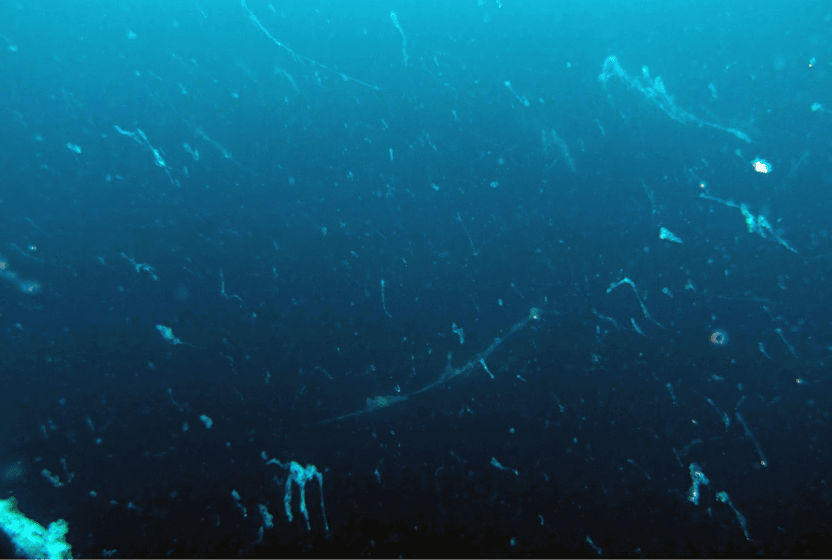 marmarada-kirmizi-pazartesi-8-cozum-nerede-ve-nasil