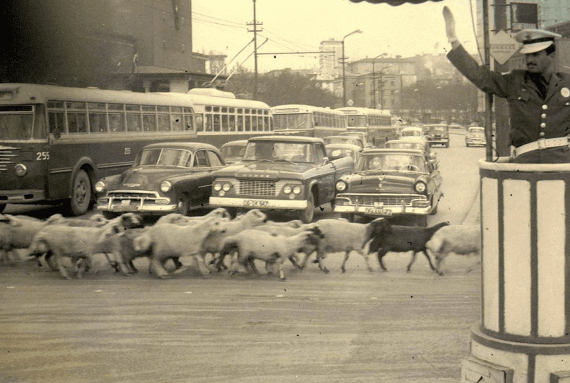 yerel-yonetimleri-guclendirmek-mahallemizdeki-soruna-ankaradan