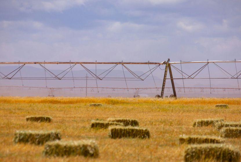 holosendeki-iklim-istikrari-sona-eriyor-olabilir