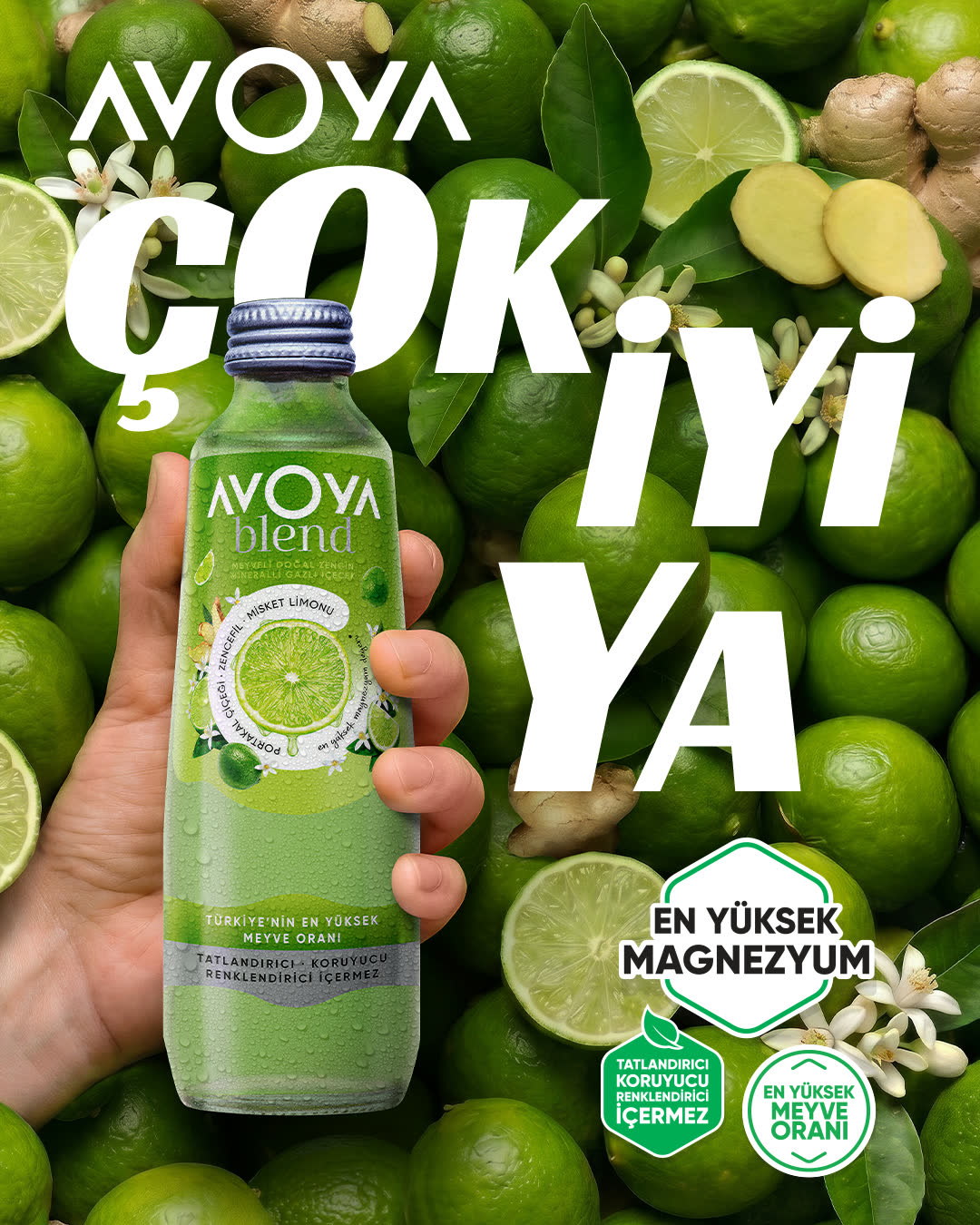 AVOYA Blend Misket Limonu — misket limonları arasında